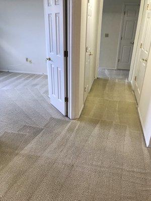 Dustin Reed - Team Dynamite