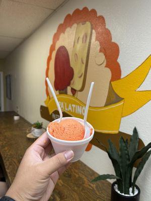 Mamey single scoop