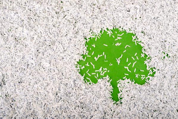 All shredded paper is 100% recycled into new products, supporting our commitment to sustainability and conservation.