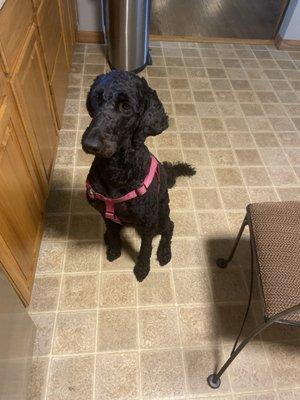 After they groomed her !!