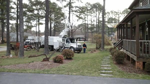 Ernie's Tree Service