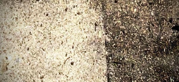 Trammell’s Powerwashing