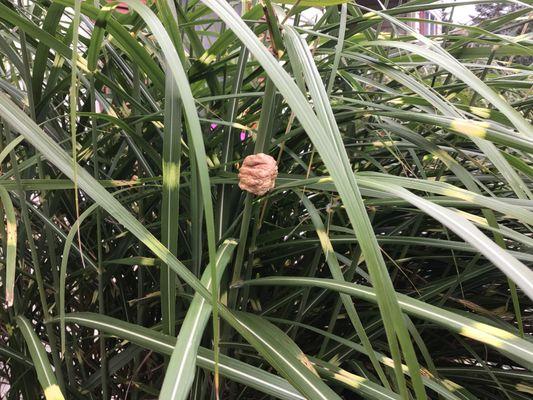Eastern Monroe Public Library