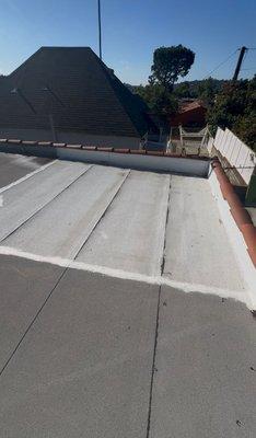 Roof Patch Guy