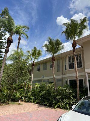 A Little Off The Top Tree Removal and Trimming