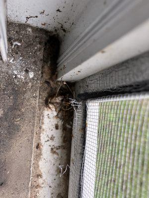 Open House Texas Property Management