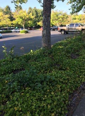 Woodinville Park & Ride