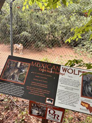 Connecticut's Beardsley Zoo