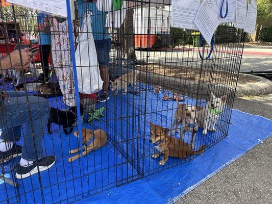 Cibolo Creek Community Church