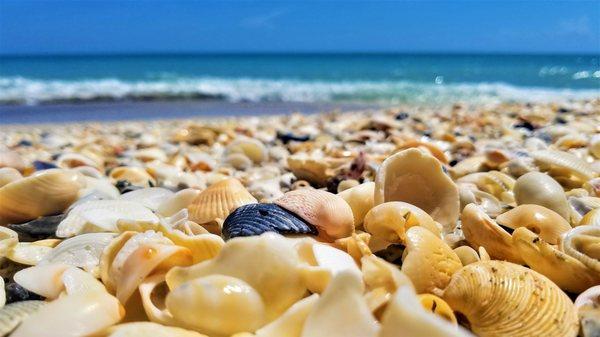 Front Row Photography