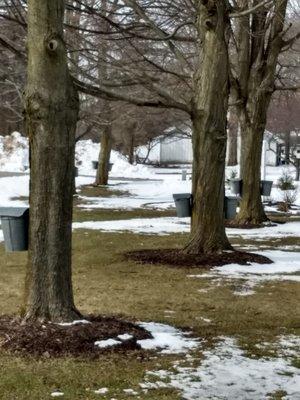 Vermontville Village of