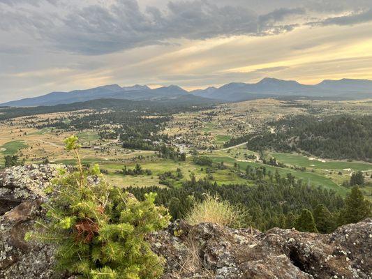 Rock Creek Cattle Company