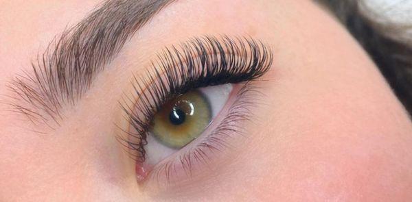 The Top Lashes & Beauty