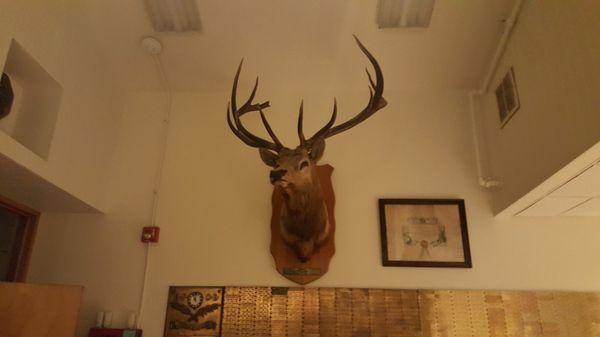 Elks Bennington Lodge of