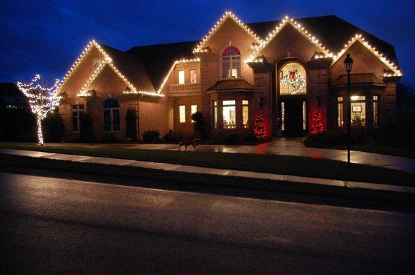 Professional Landscape Service