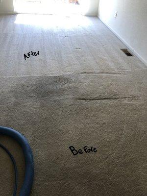 Before and after carpet cleaning!