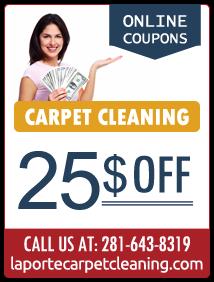 La porte Carpet Cleaning