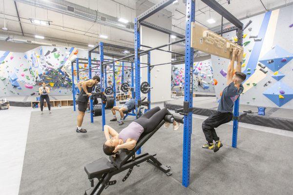 Central Rock Gym - Wynwood