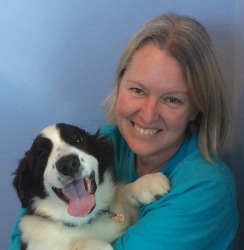 Morgan County Animal Hospital