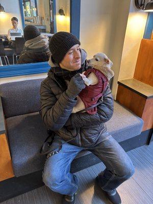 Addison the Dog Walker