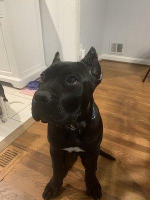 After we visited a professional!!! Exactly what I wanted, with no excuse or BS.