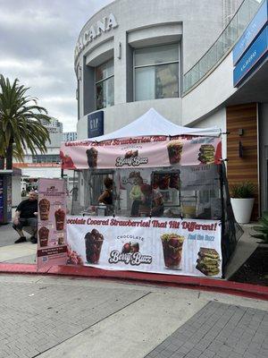 Chocolate Berry Buzz