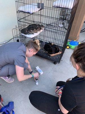 Cru Veterinary Services