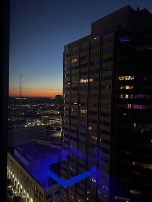 The view