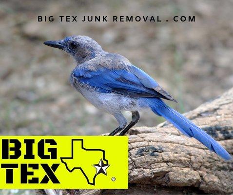 GOT JUNK? Need Junk Removal FAST? Call BIG TEX Junk Removal. We are your DFW Junk Guys! As low as $69 for our BIG TEX Special.