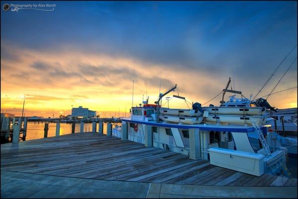 Southern Belle Fishing Tours