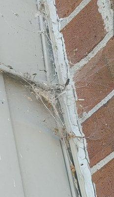 Westhampton Apartments