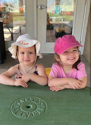 Tiny Tree Of Menomonie