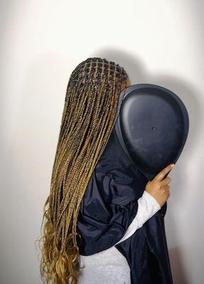 Braided Crown Clinic