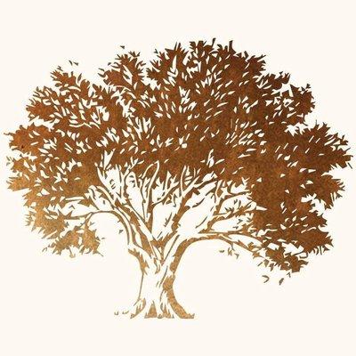 Athena Salon & Day Spa