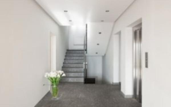 Carson Elevator