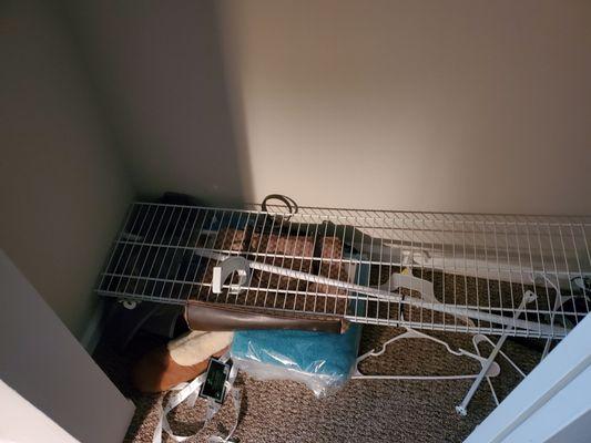 The Terrace at Chestnut Hill