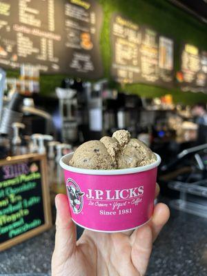 J.P. Licks - Cambridge