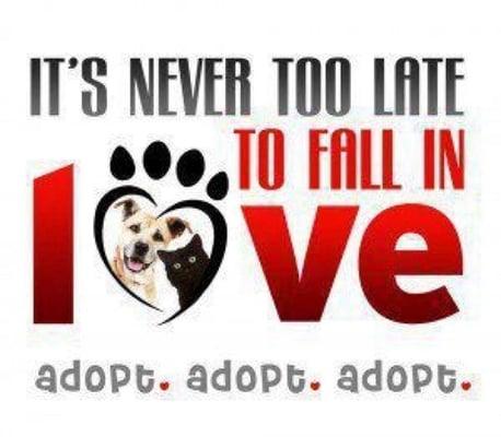 Consider Adopting