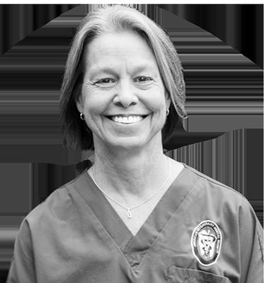 Animal Dental Services