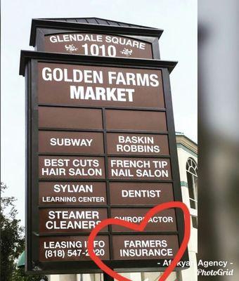 Farmers Insurance - Sophia Afrikyan