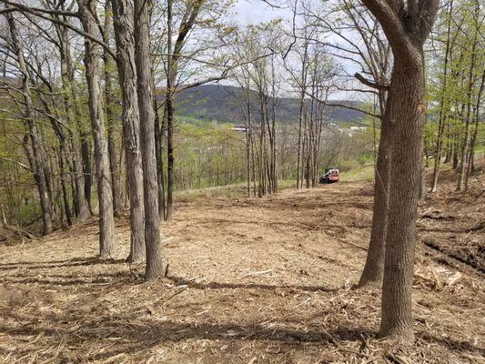 Ground-Up Forestry Mulching