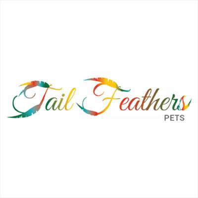 Tail Feathers