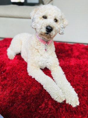 Breakfast at Tiffany's