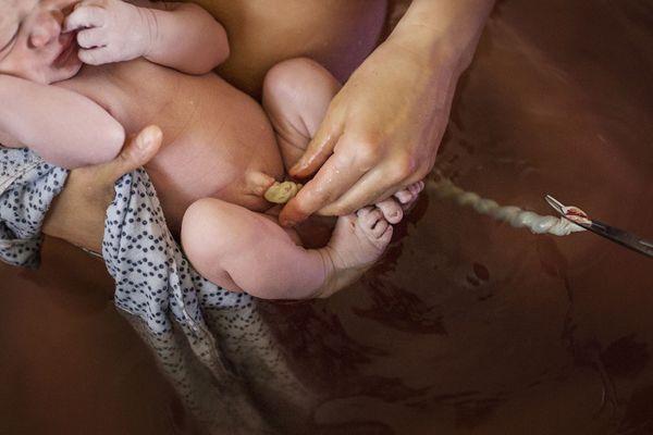 Madison Doula Services