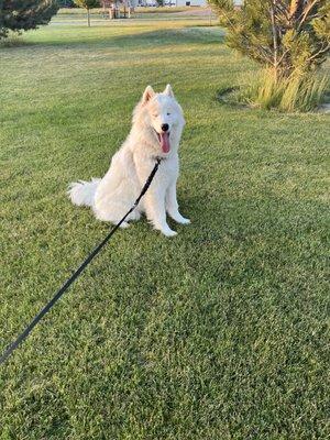 Nice clean dog park....great location and well maintained...will come again! Luna loved playing!