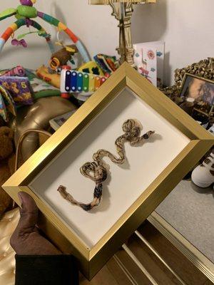 umbilical cord turn into art