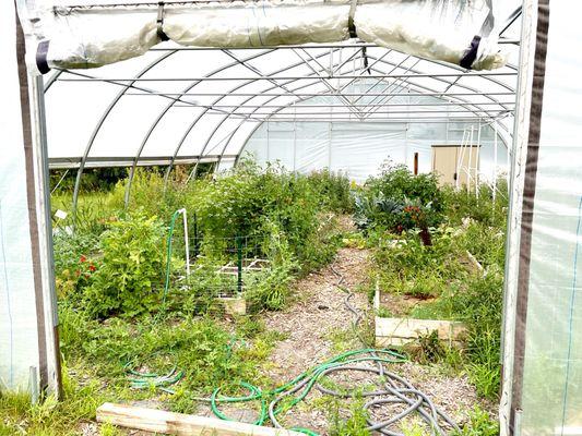 Canton Farmers Market