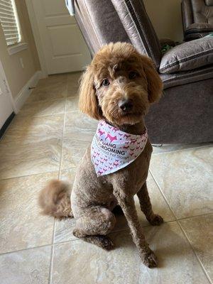 Woof Gang Bakery - Fulshear