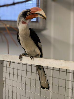 Lake Area Zoological Society