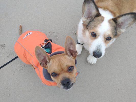 Which of these 2 needs the most exercise? You're right.. Both